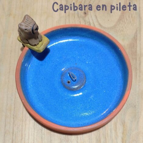 Capibara en pileta